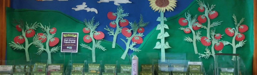 Mason Square Seed Library