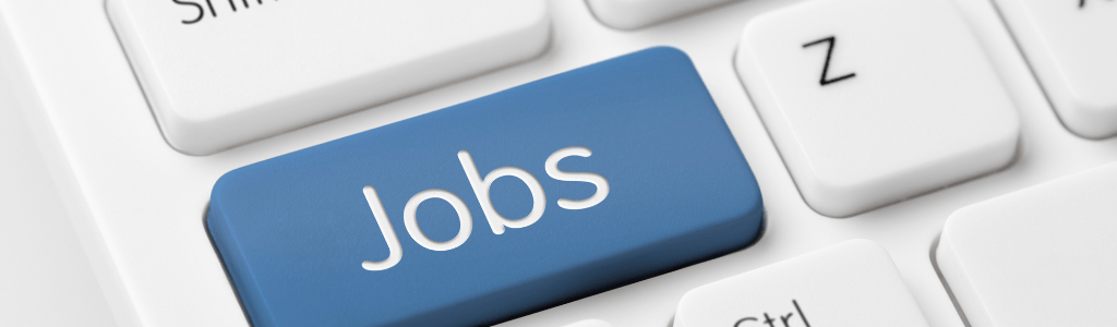 Digital Skills for Job Seekers