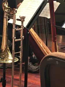 Amateur 2nd Place Dora Campbell for Springfield Symphony Orchestra Stage