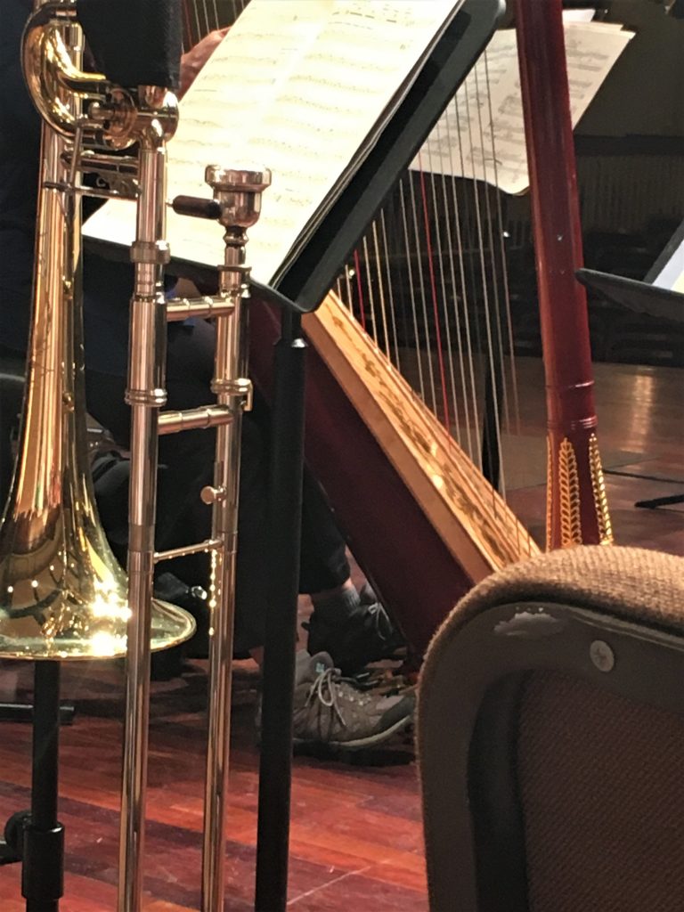 Amateur 2nd Place Dora Campbell for Springfield Symphony Orchestra Stage