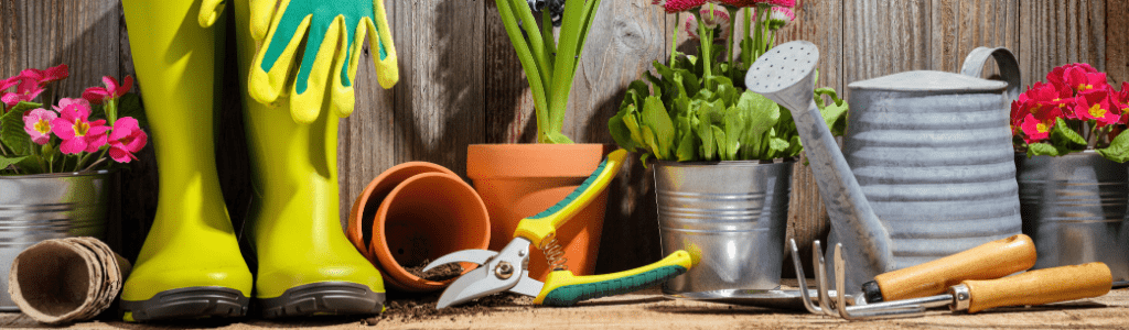 Virtual Gardening Workshops