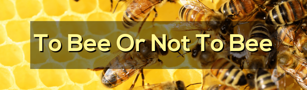 To Bee or Not To Bee