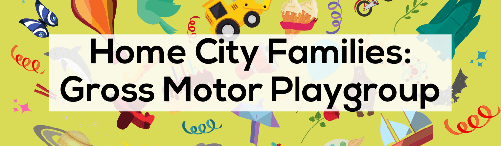 Gross Motor Playgroup