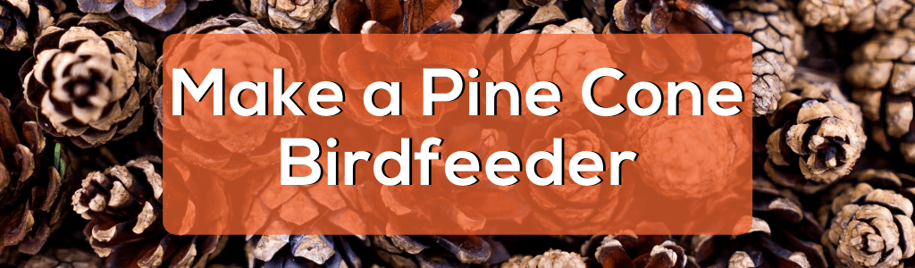 Make a Pine Cone Birdfeeder