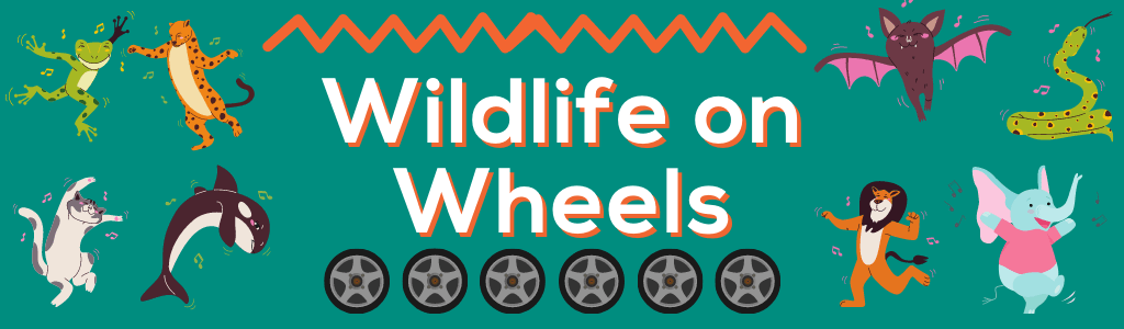 Wildlife on Wheels