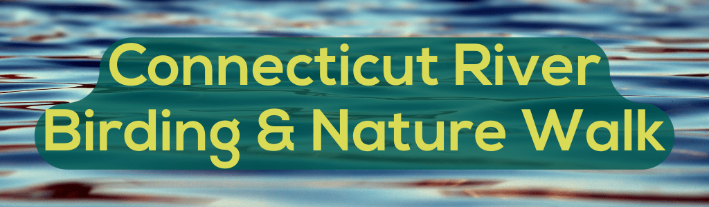 Connecticut River Birding and Nature Walk