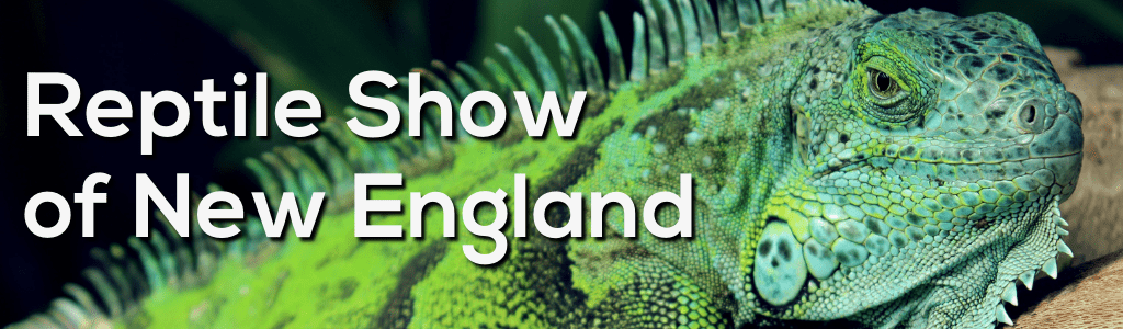 Reptile Show of New England – April 22