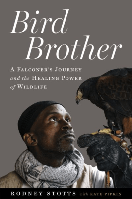Bird Brother by Rodney Stotts cover. A falconer, low in the frame, holds a falcon up on his gloved hand. He is looking at it with adoration.