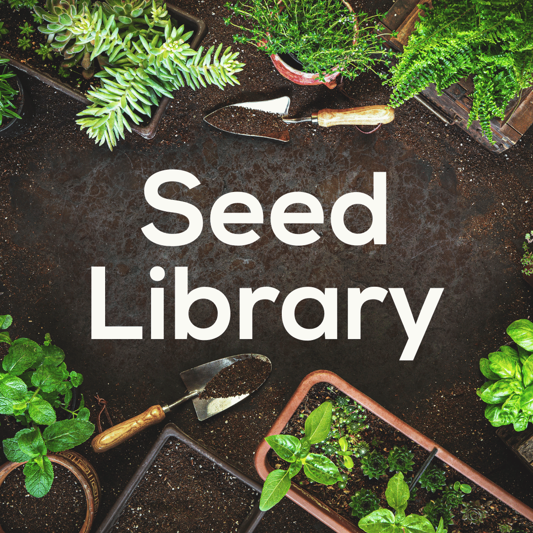 Seed Library at Mason Square