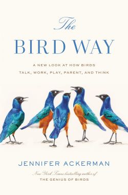 Cover: The Bird Way