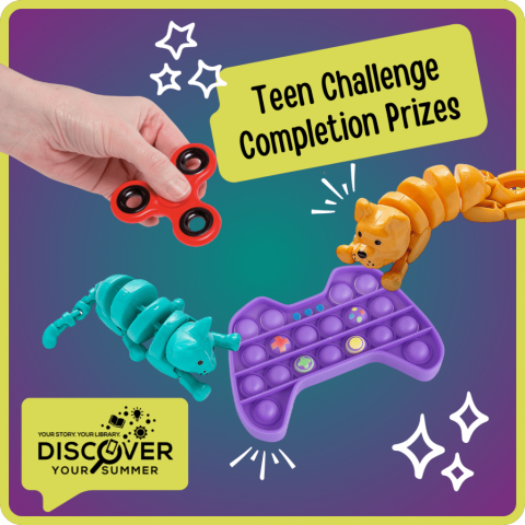Teen Challenge Completion Prizes: various fidget toys including a bubble popper, articulated dogs and cats, and fidget spinners