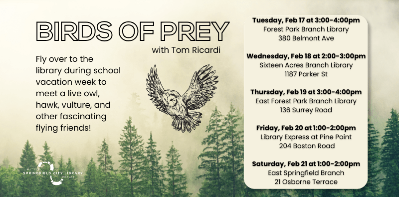 HOME PAGE SLIDERS Graphic of owl flying to promote interactive Birds of Prey programs in February at Springfield City Library Branches.
